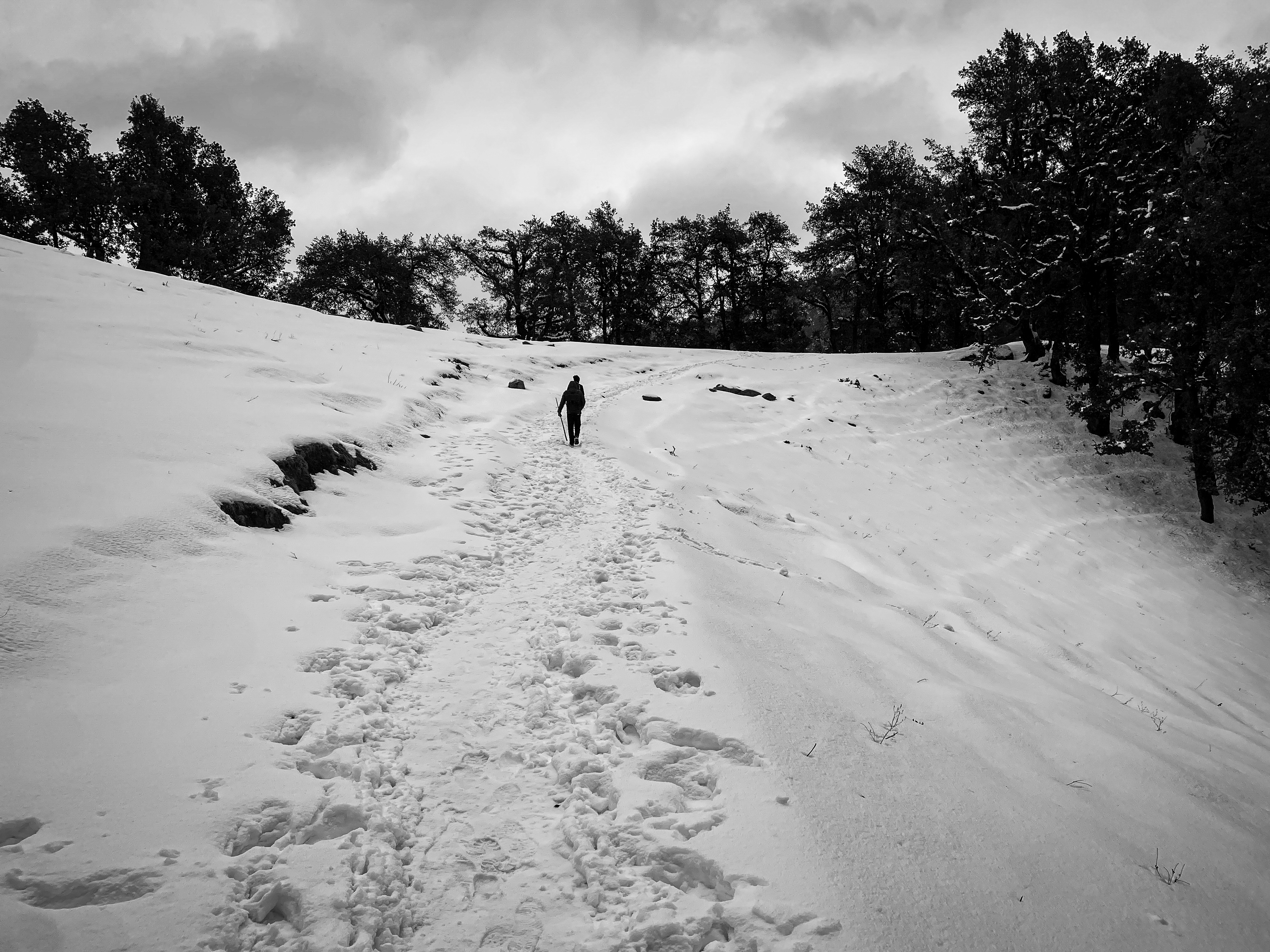 Nagtibba Trek