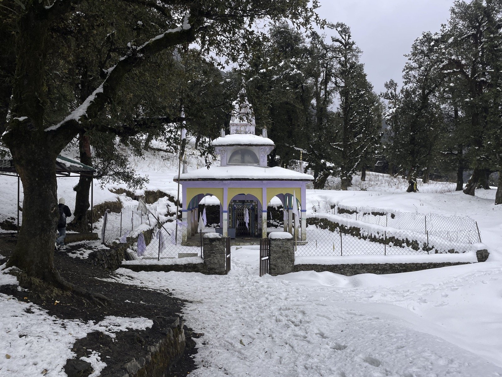 Nagtibba Camping