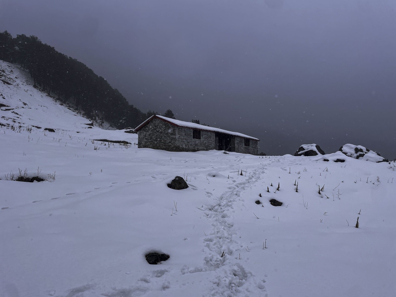 Nagtibba Summit